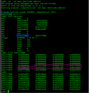 Buffer Overflow Vulnerabilities: Understanding and Mitigating the Risk