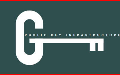 Public Key Infrastructure (PKI): Strengthening Digital Trust & Security